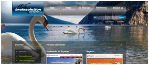 Designlösung - brainsolution Software AG